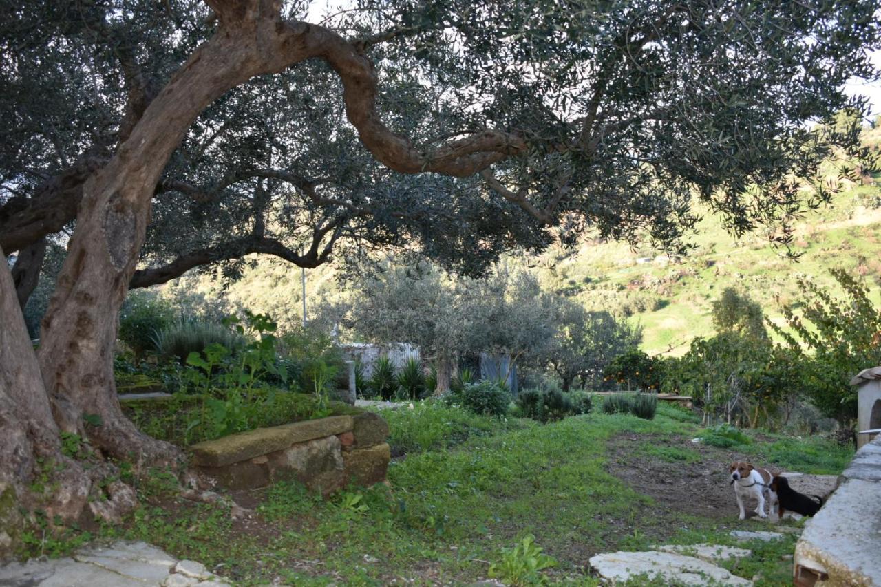 La Casetta Nel Bosco Apartment Calatafimi Luaran gambar